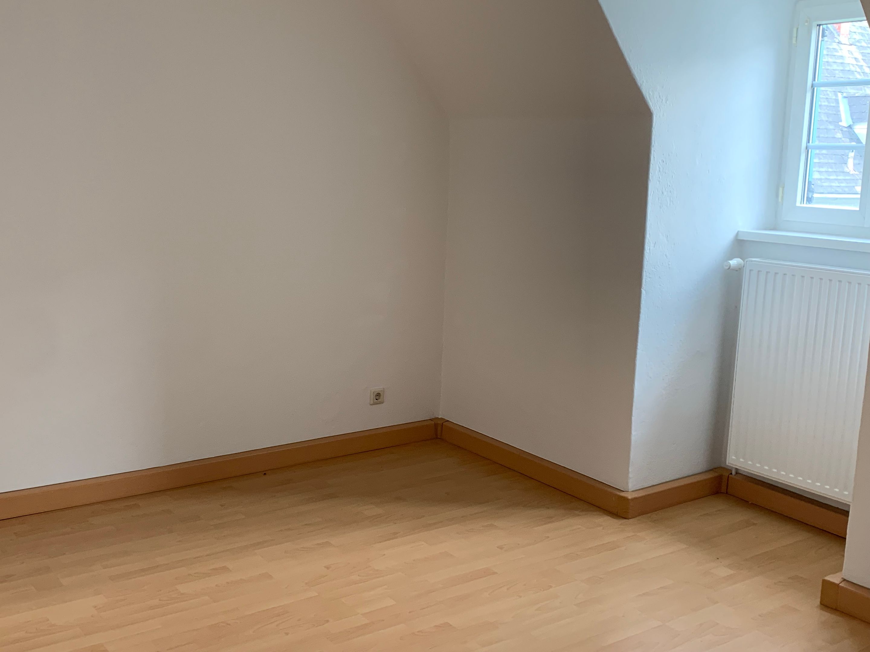 tosons_manca_3799_Zimmer_jpg.jpg