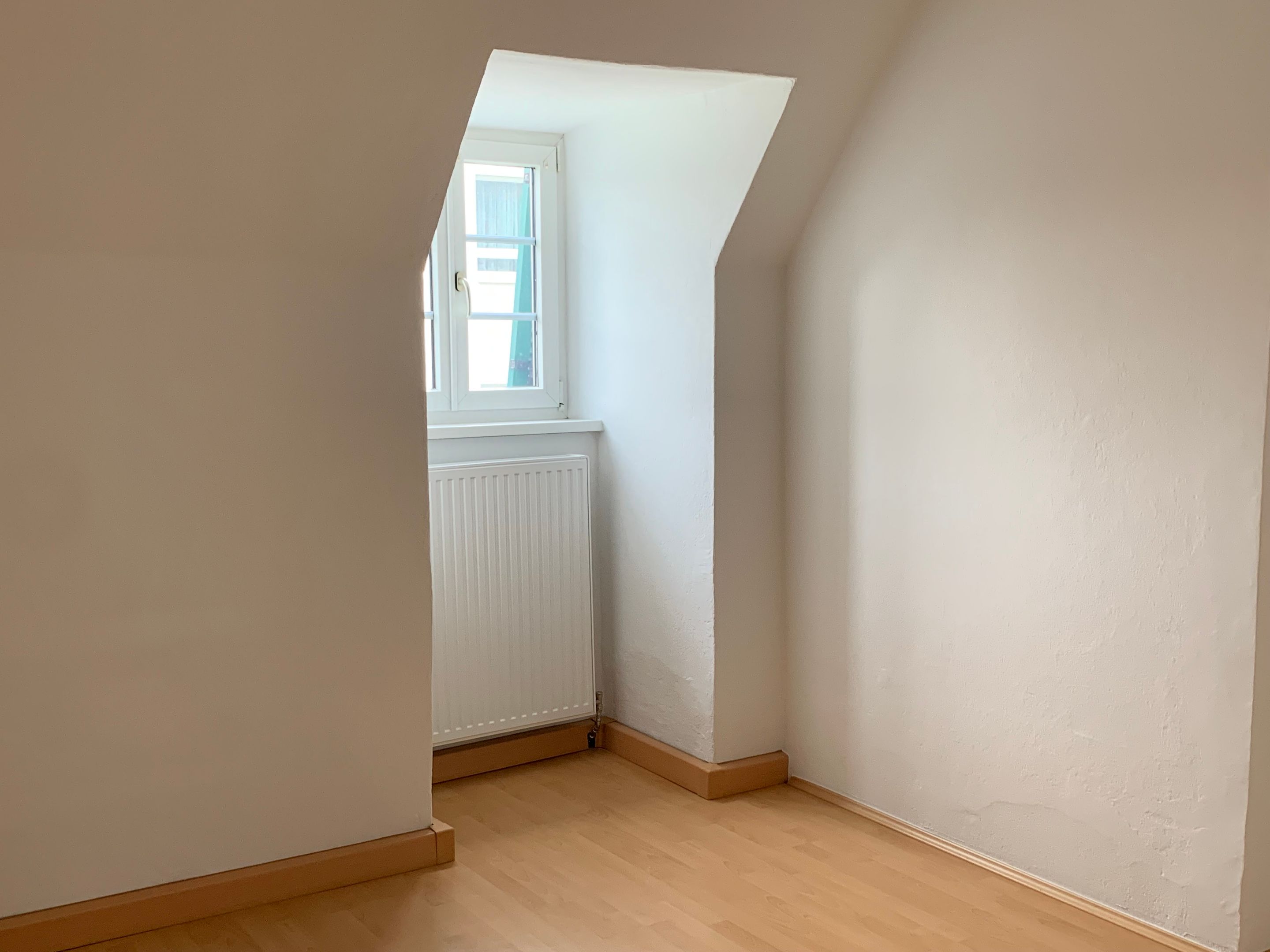 tosons_manca_3799_Zimmer.jpg