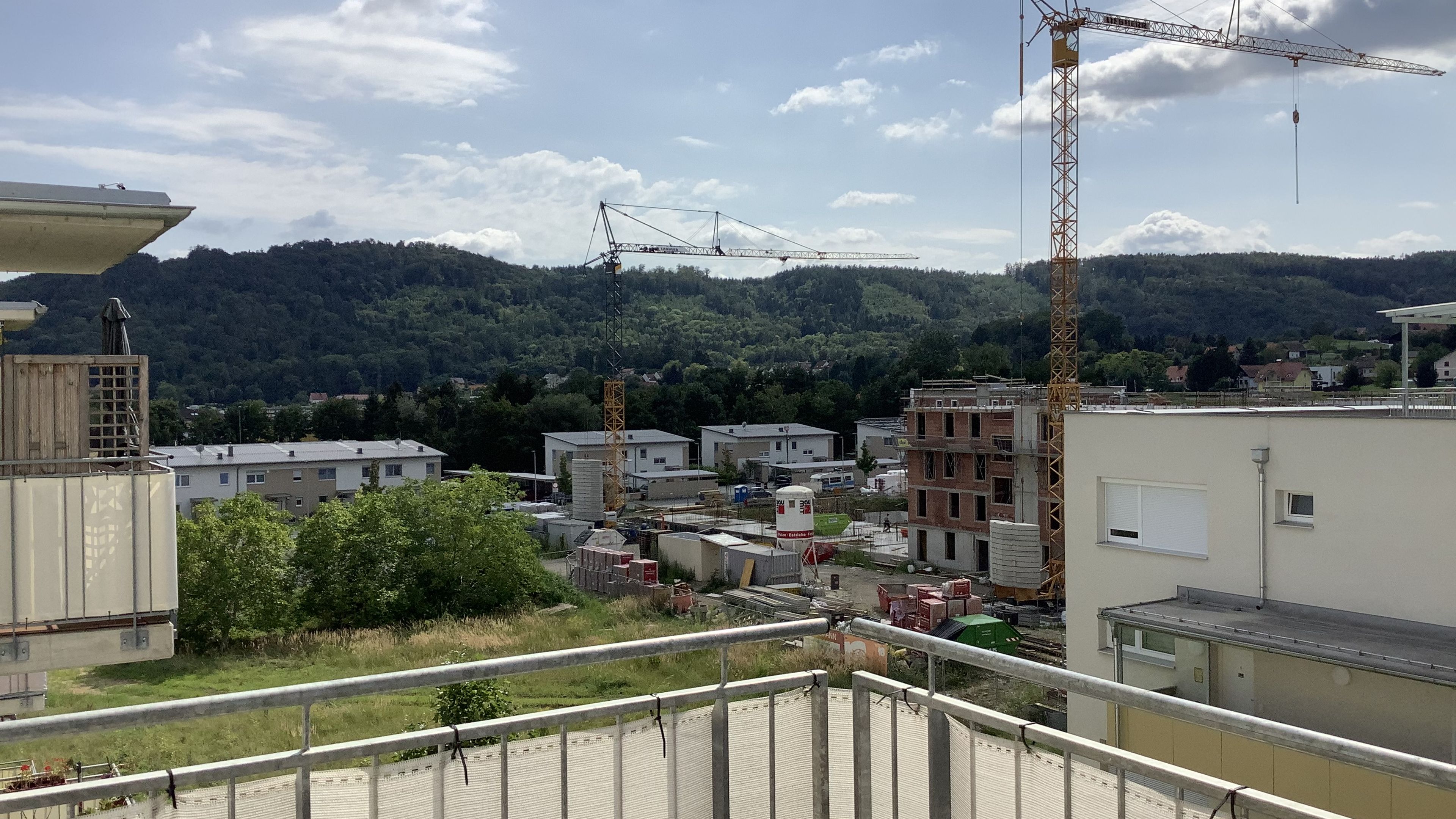 tosons_saba_37901_IMG_0064.jpg