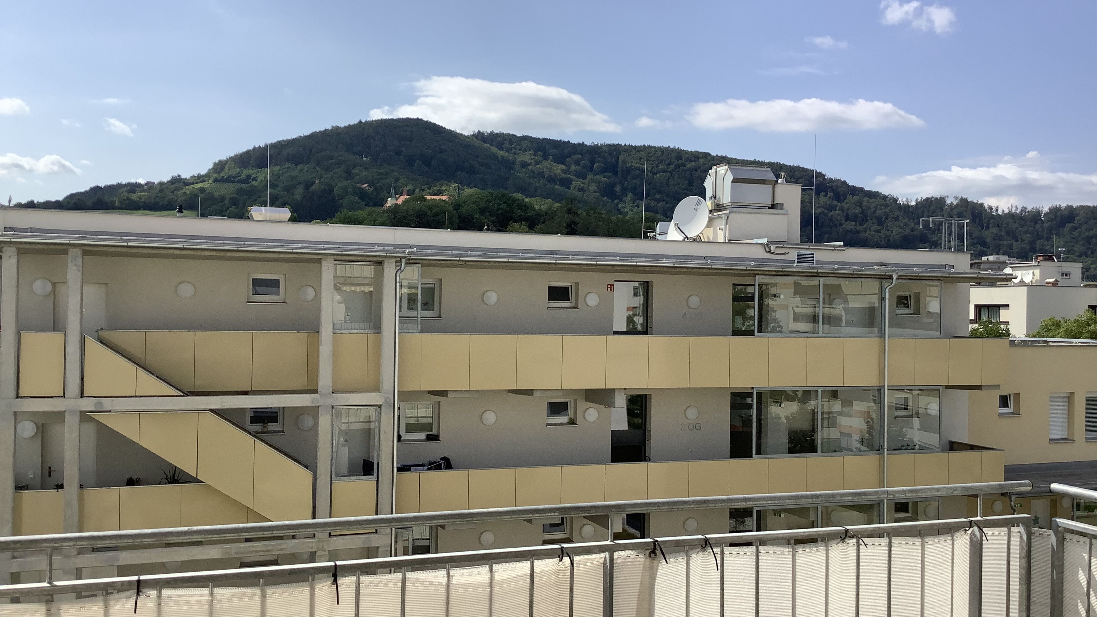 tosons_saba_37901_IMG_0062.jpg