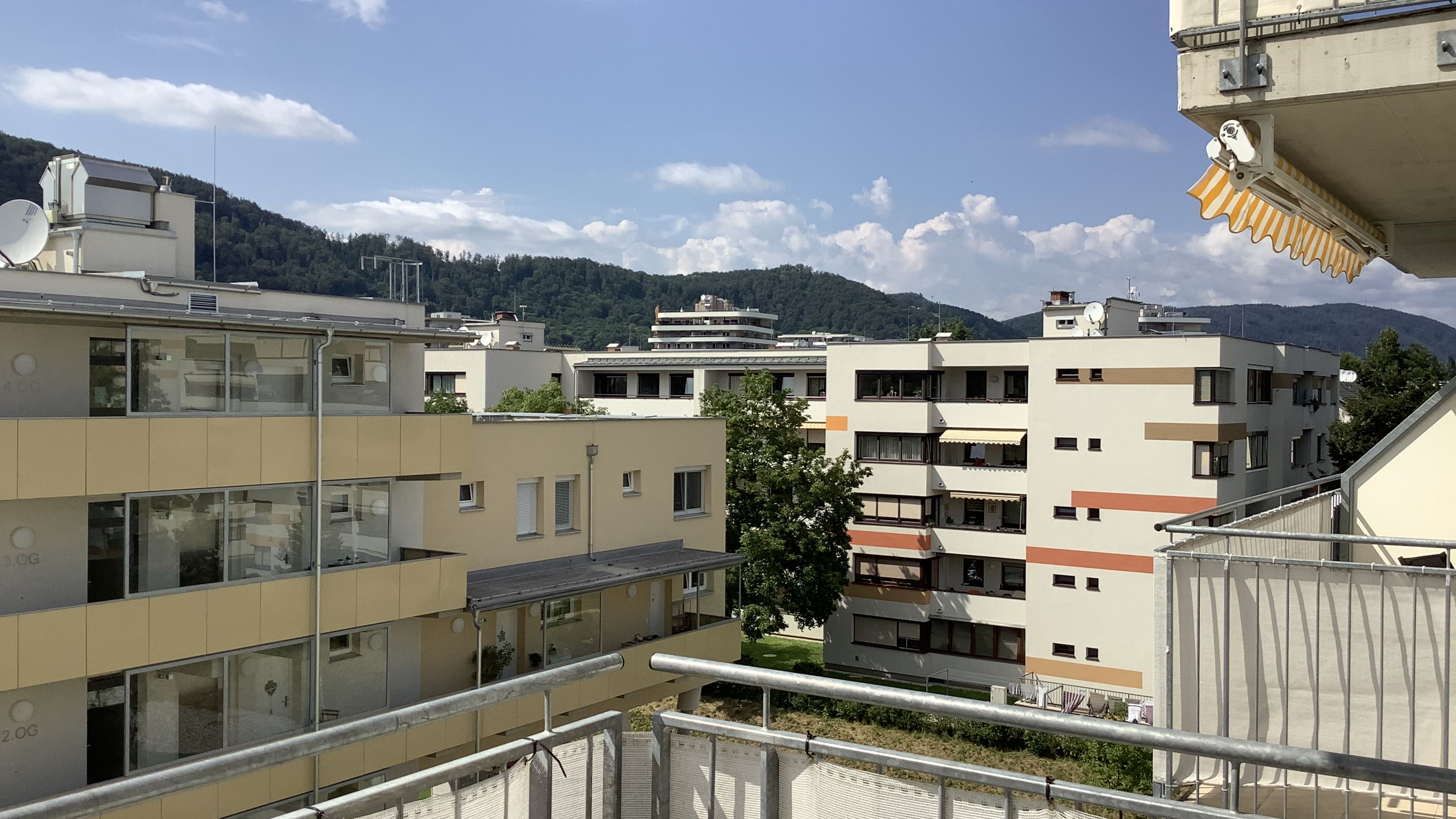 tosons_saba_37901_IMG_0063.jpg