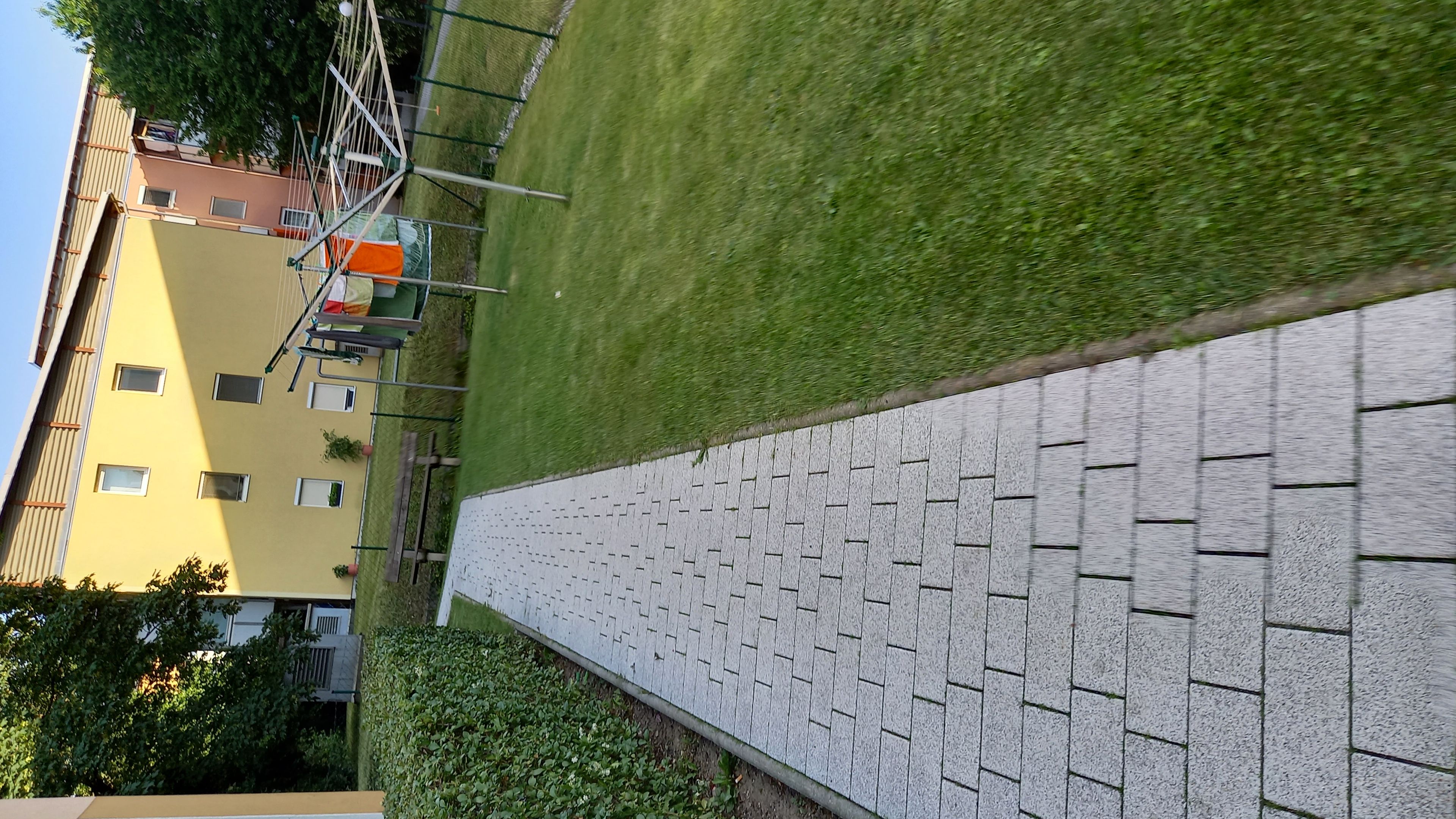 tosons_saka_343301_20220615_072507.jpg