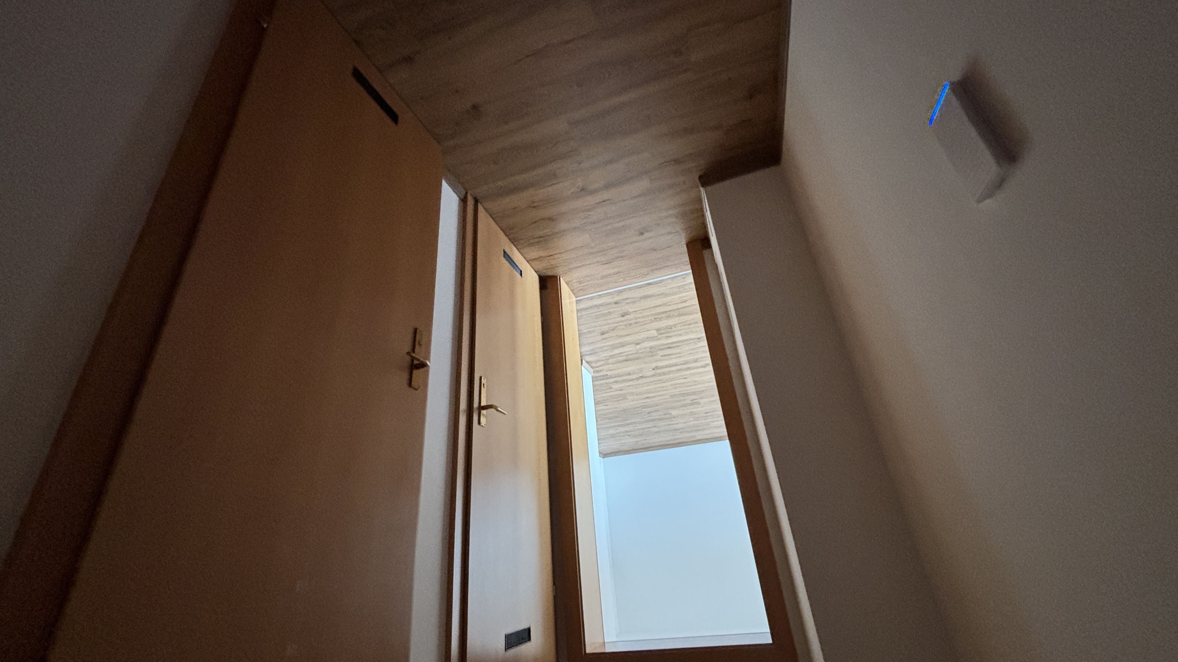 tosons_peste_150501_IMG_0032.jpeg