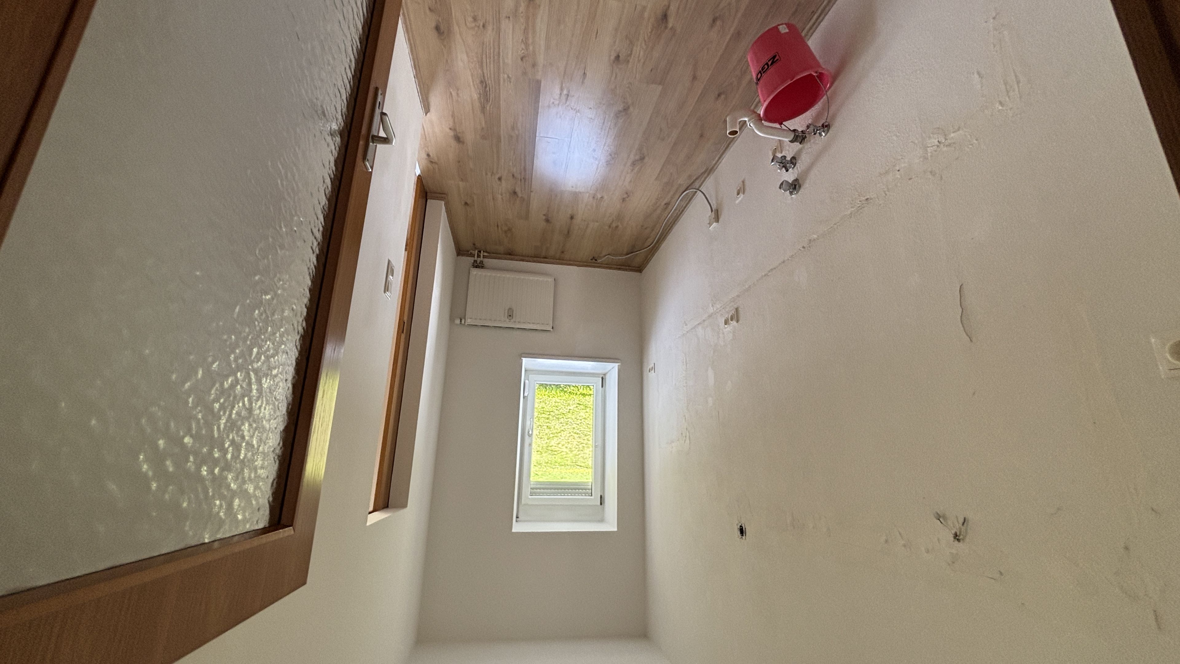 tosons_peste_93101_IMG_0414.jpeg