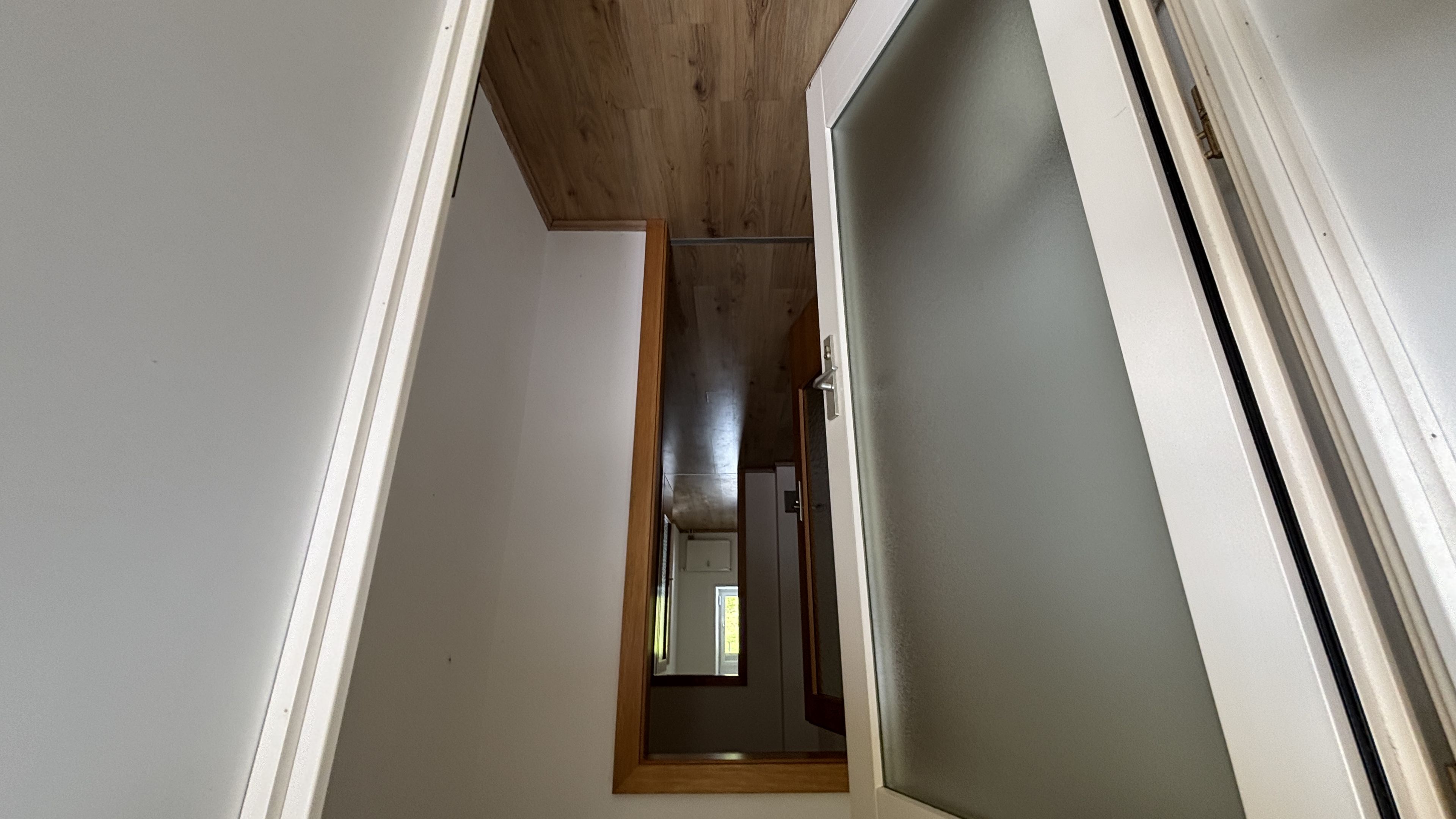 tosons_peste_93101_IMG_0411.jpeg
