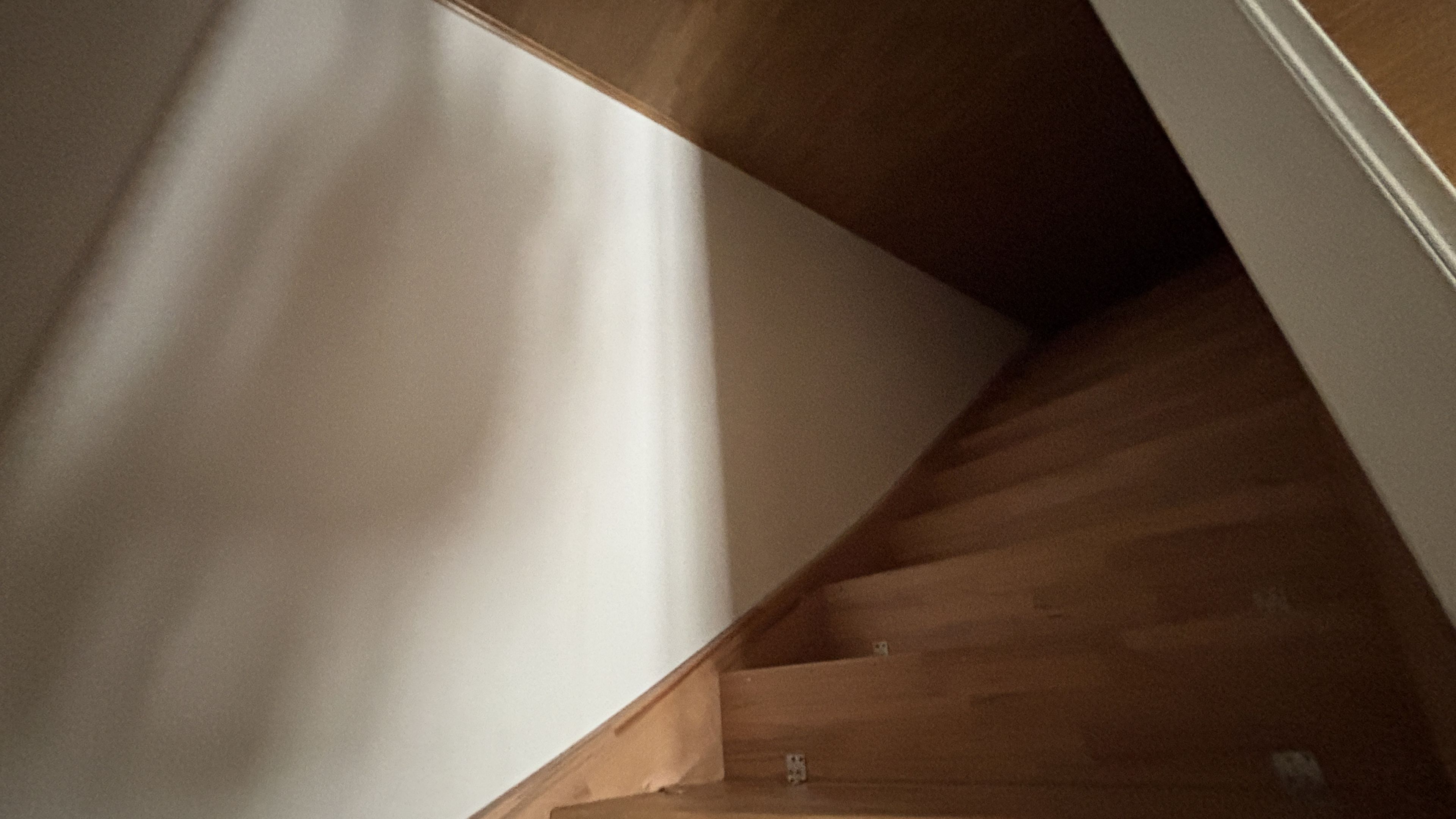 tosons_peste_400701_IMG_1004.jpeg