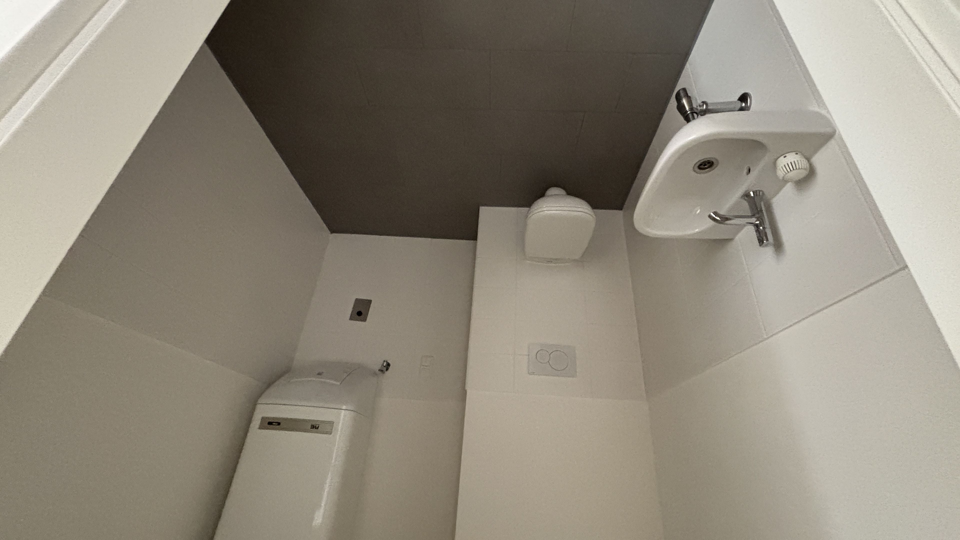 tosons_peste_400701_IMG_1019.jpeg