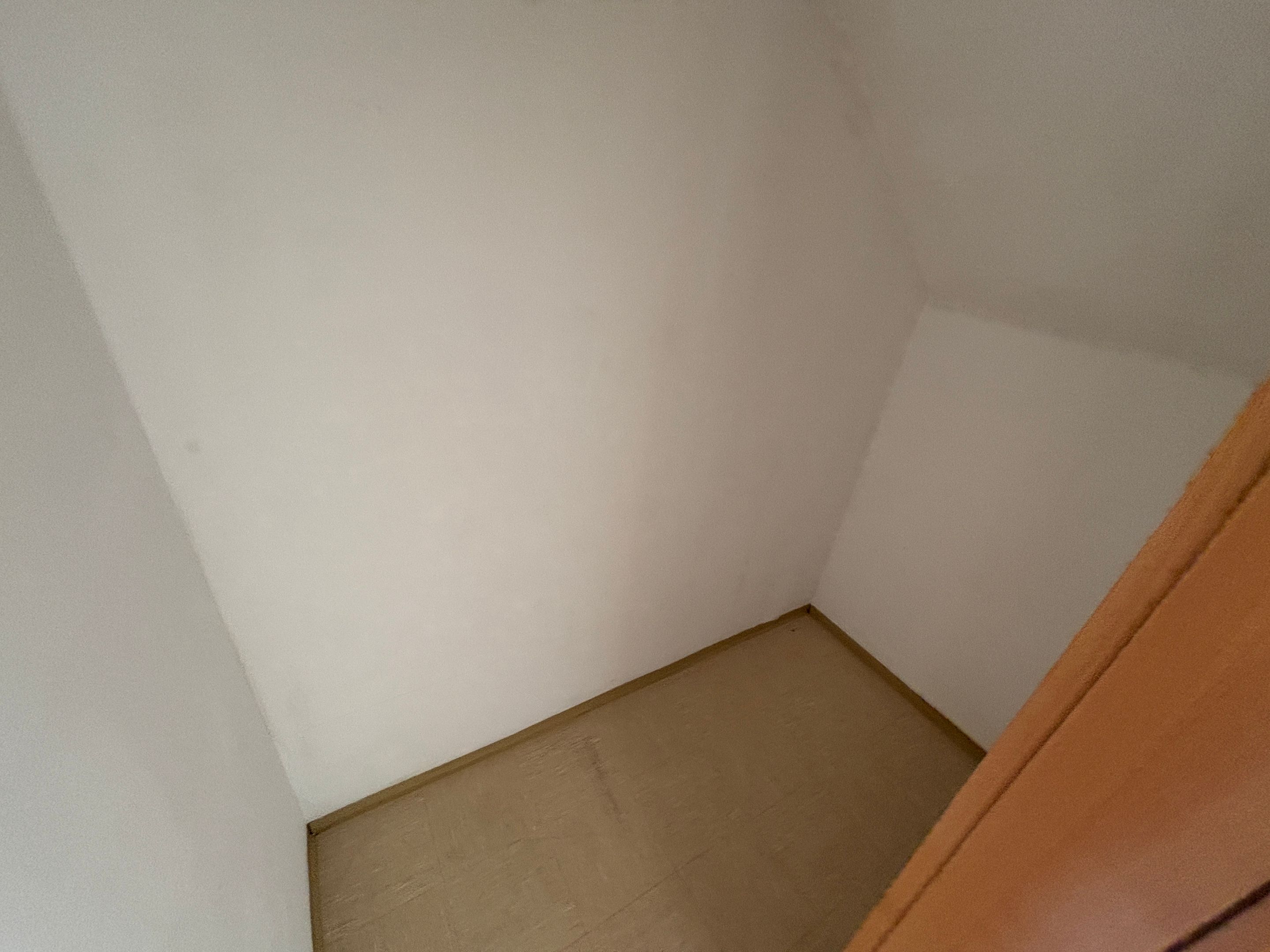 tosons_peste_151601_IMG_1336.jpeg