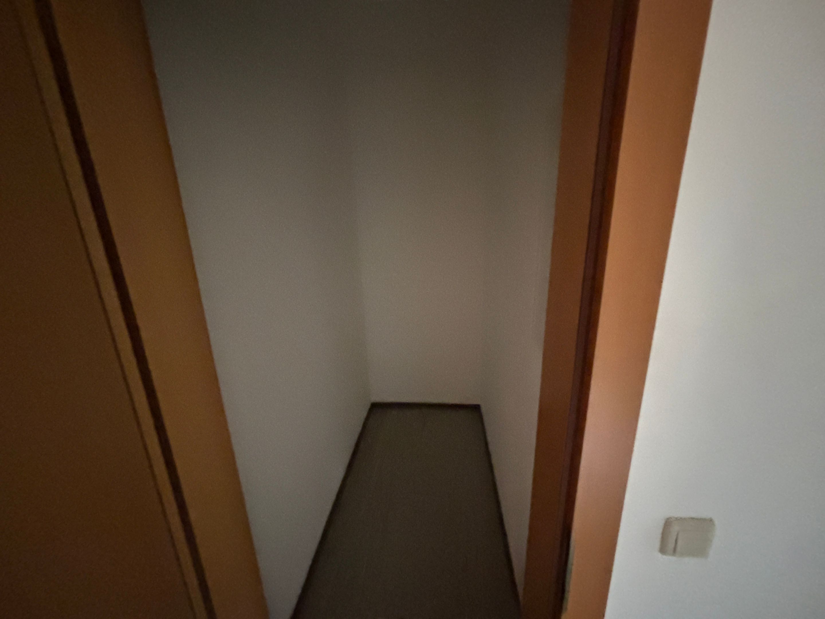 tosons_peste_151901_IMG_2628.jpeg