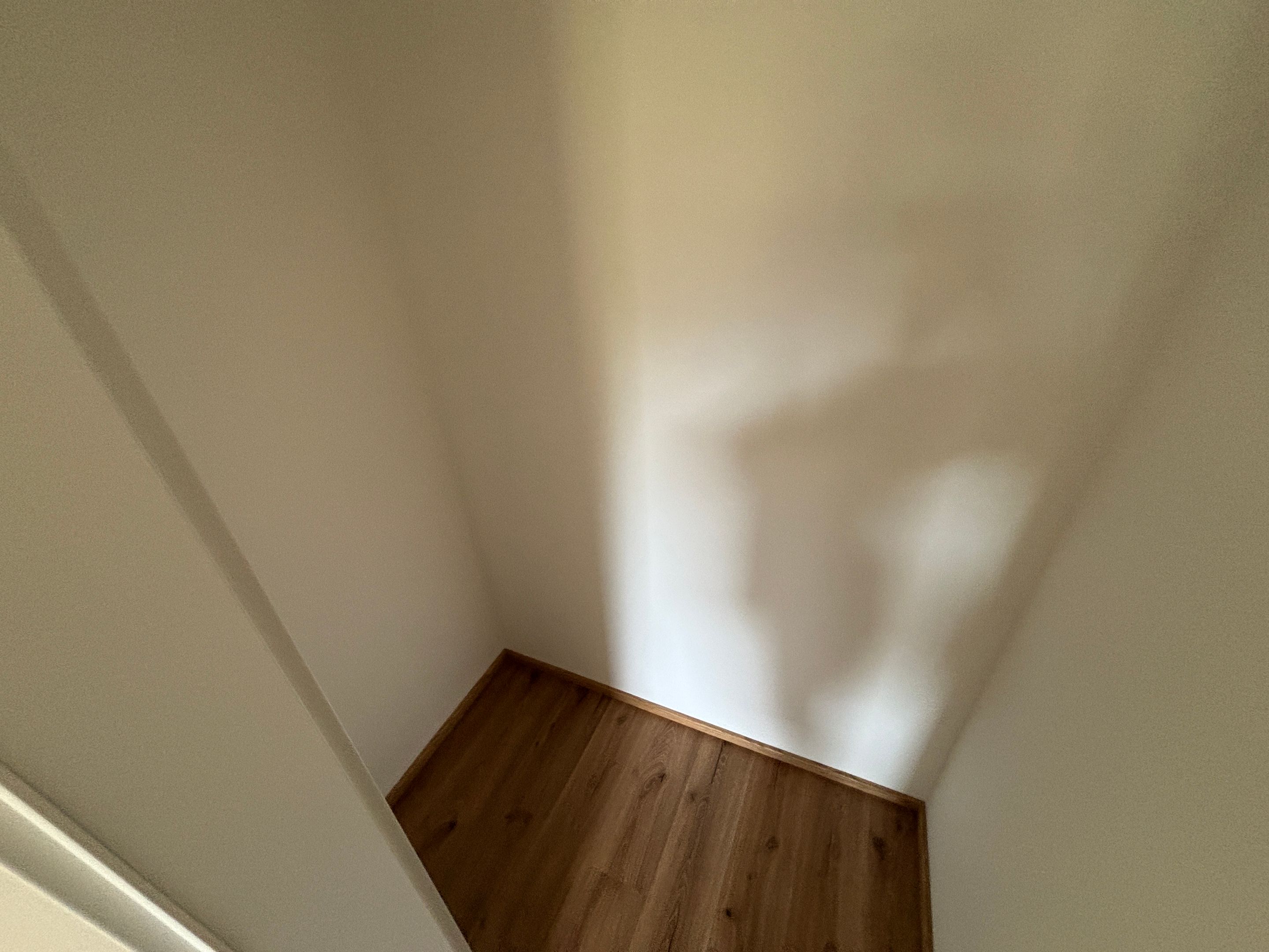 tosons_peste_130101_IMG_2769.jpeg