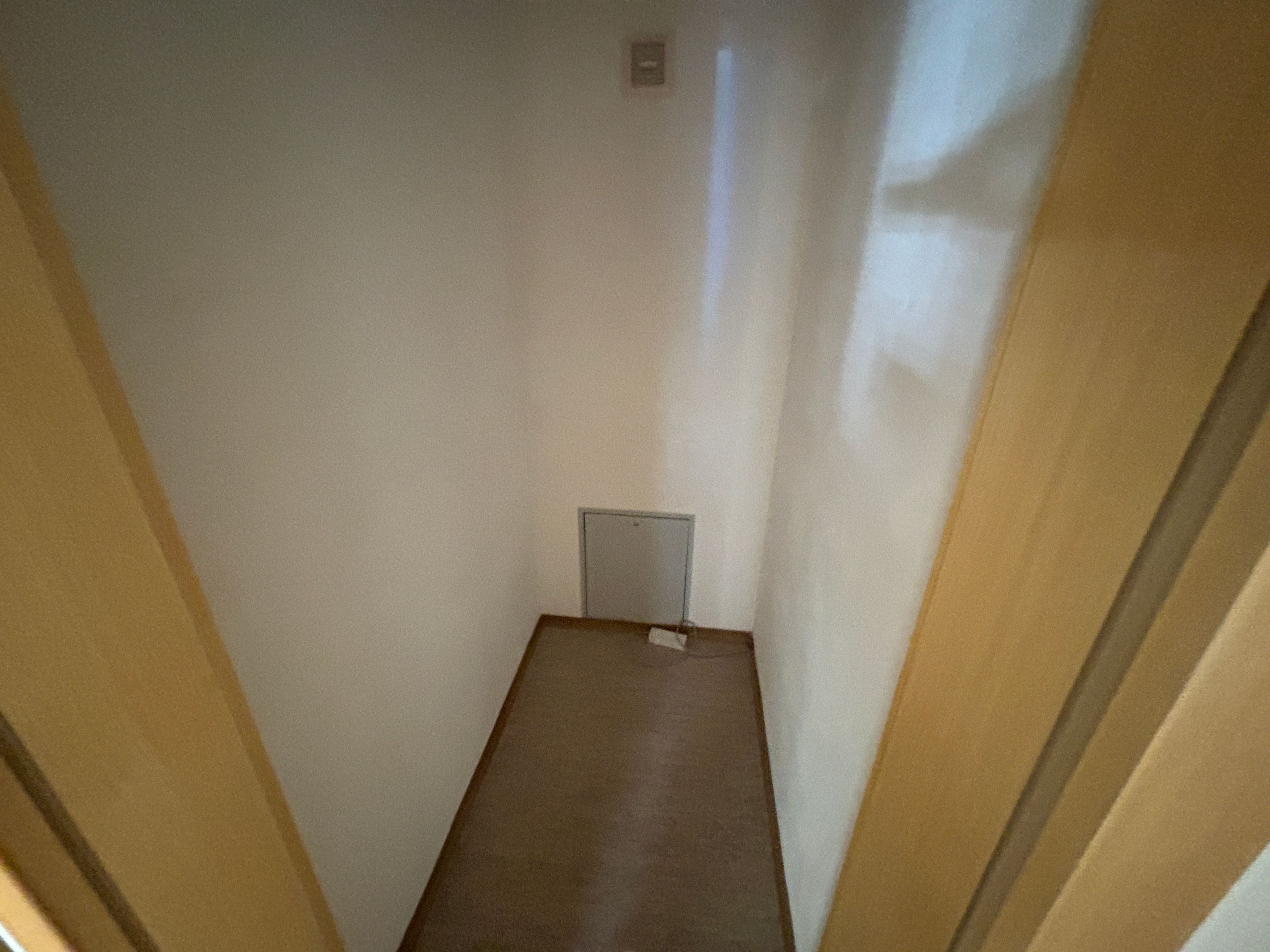 tosons_peste_144201_IMG_3090.jpeg