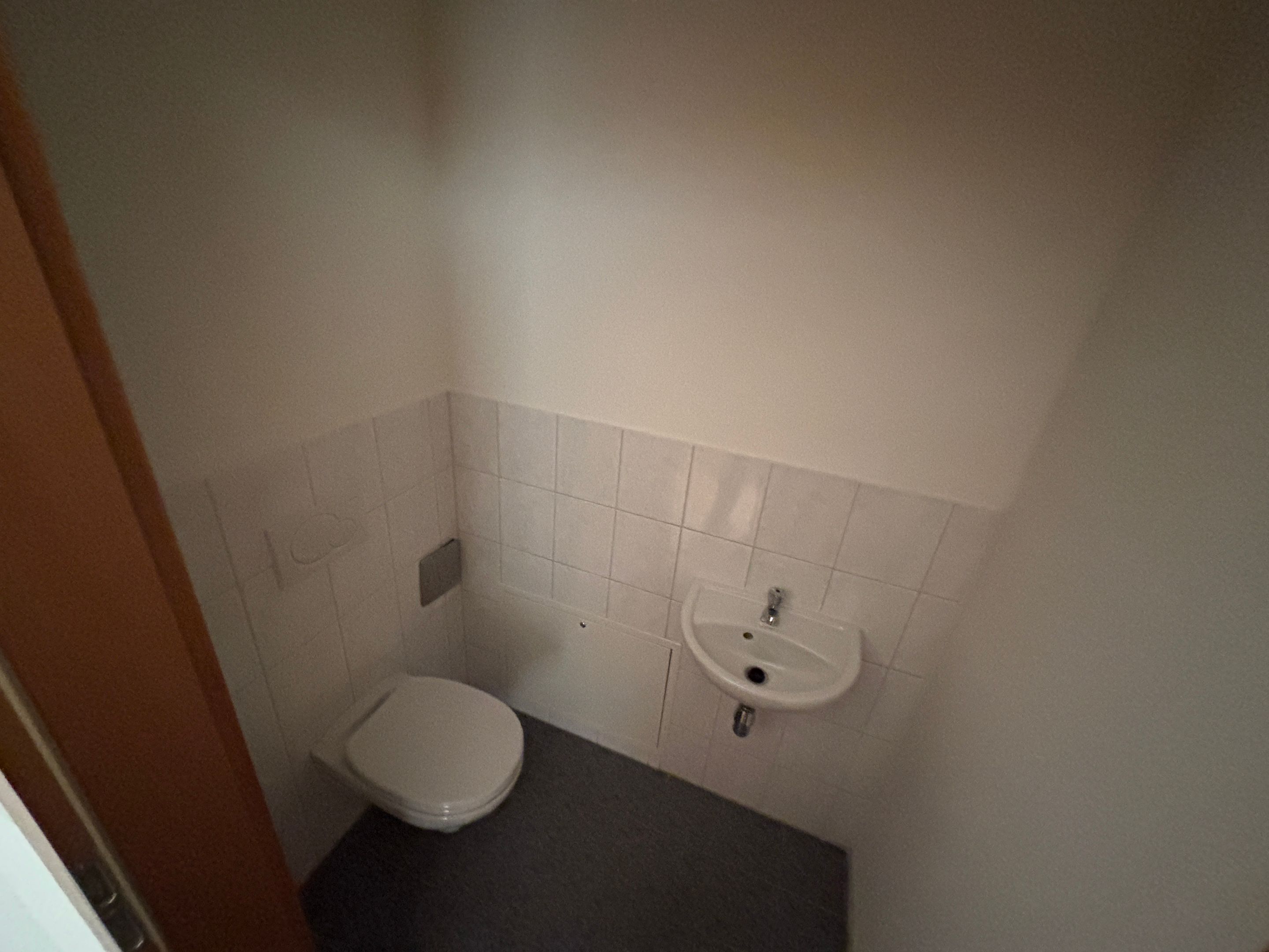 tosons_peste_176301_IMG_3100.jpeg