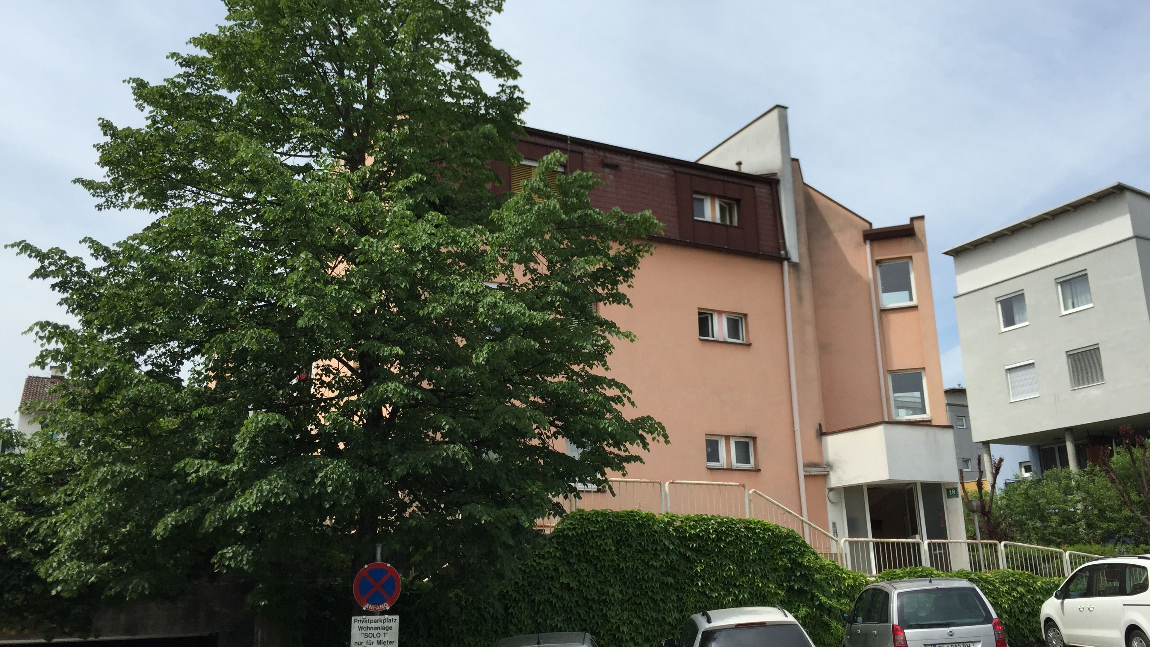 _anru_115415_IMG_8175.JPG