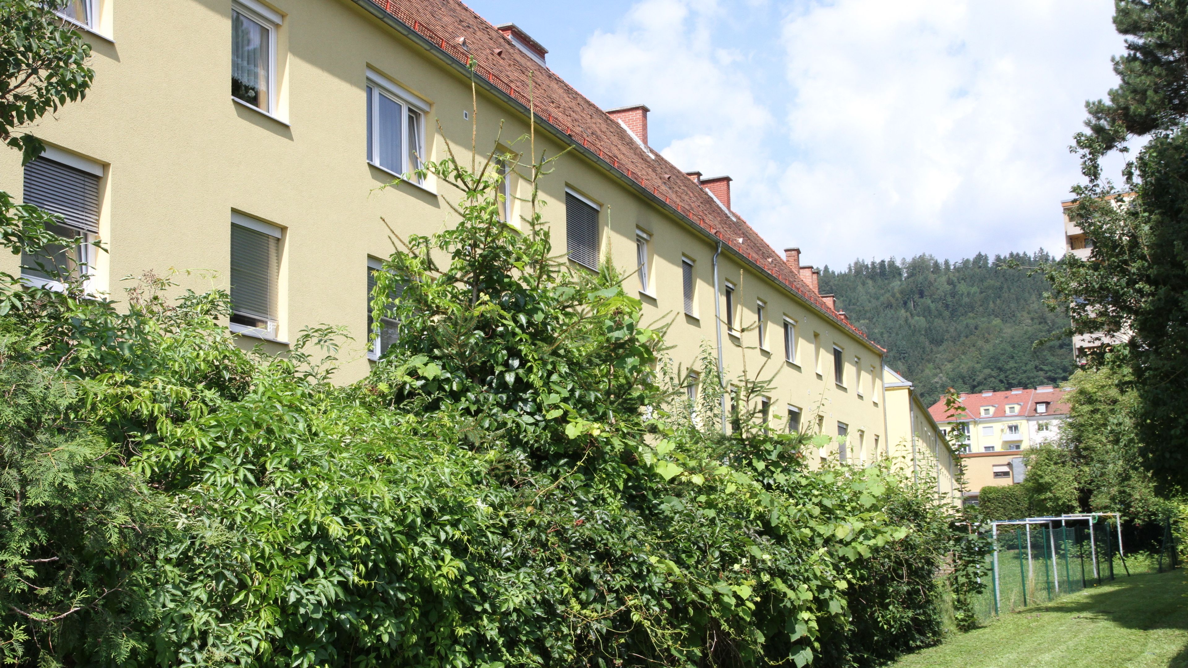 tosons_manca_1299_Ansicht_hinten.JPG