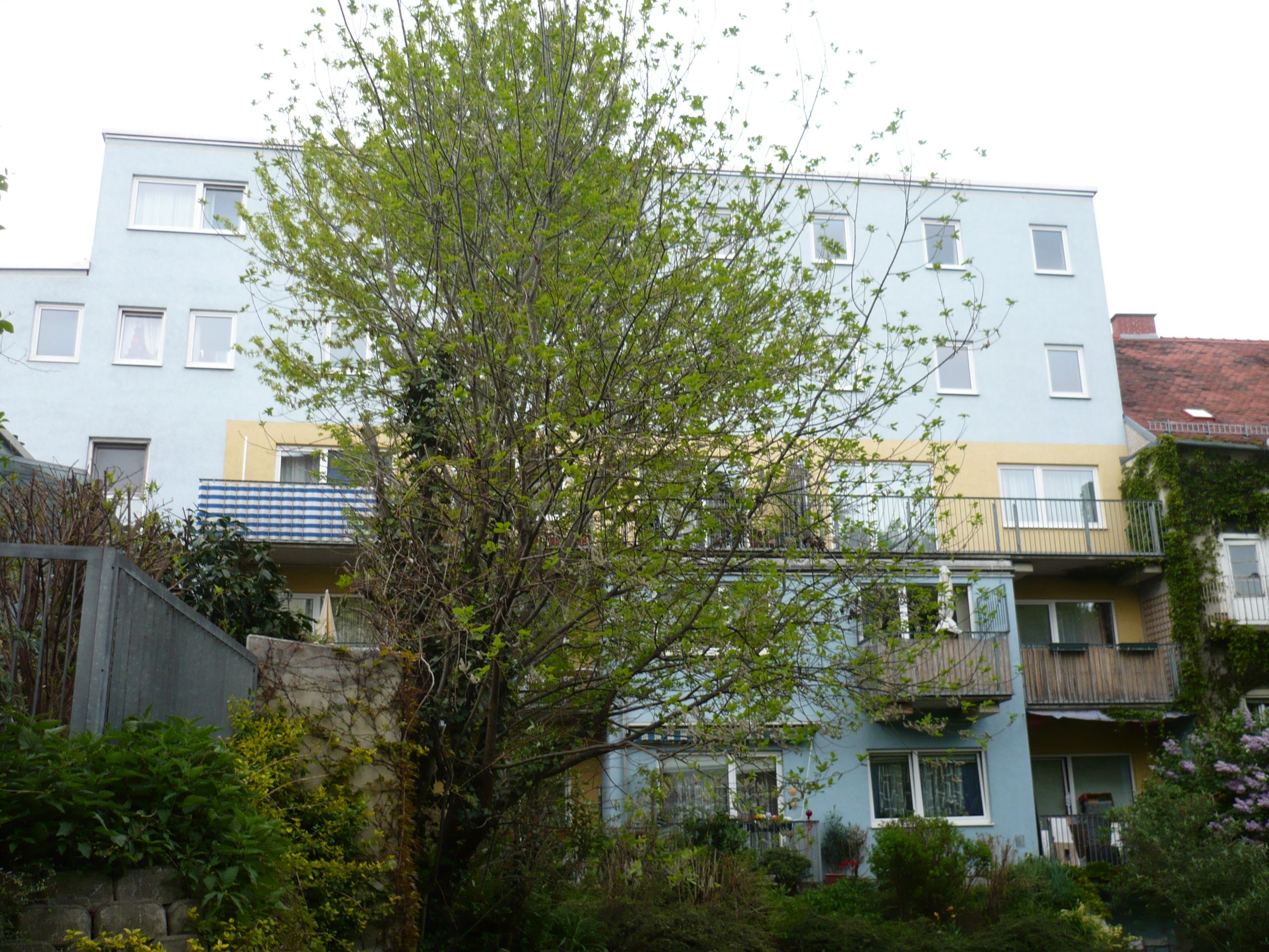 totibi_sast_28401_Hausansicht_Schönaugasse_27.JPG